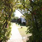 Halma Flè - Villetta DALIA